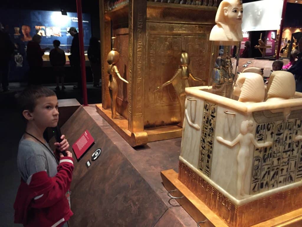 boy looking at Egyptian artifacts