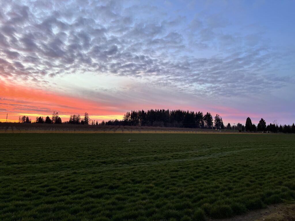 Colorful sky before sunrise over field with trees in the background