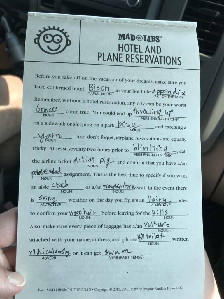 Filled in mad libs page about hotel and plane reservations.