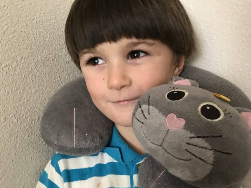 Our son loves his kitty travel pillow.