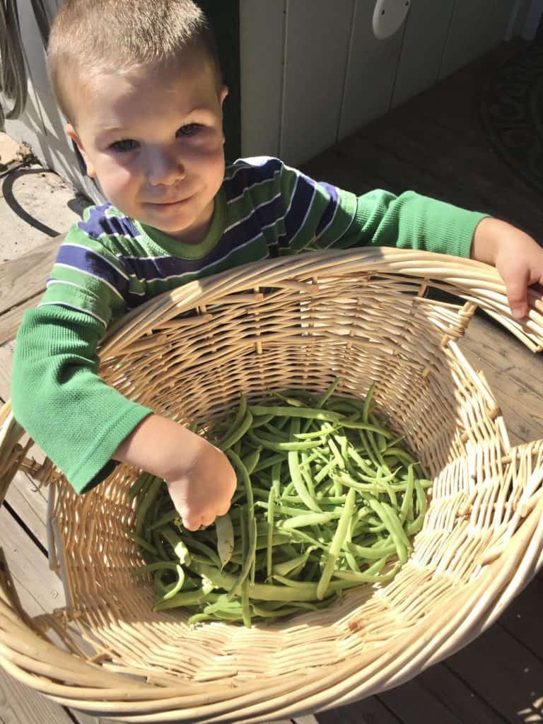 boy with beans in basket