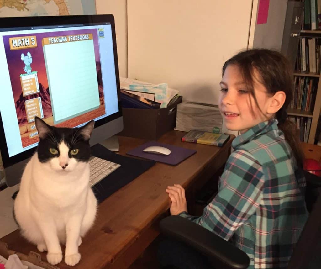 girl using computer with cat companion