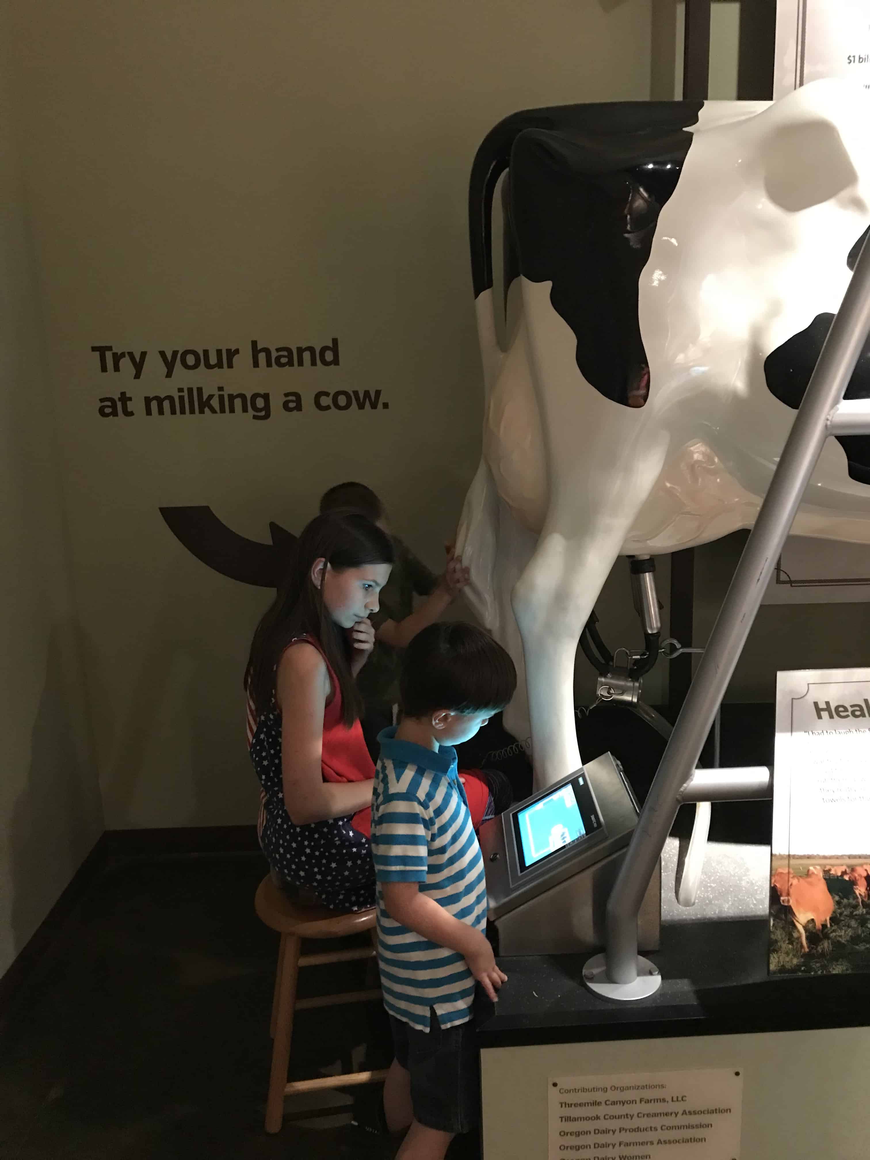 Girl milking cow display