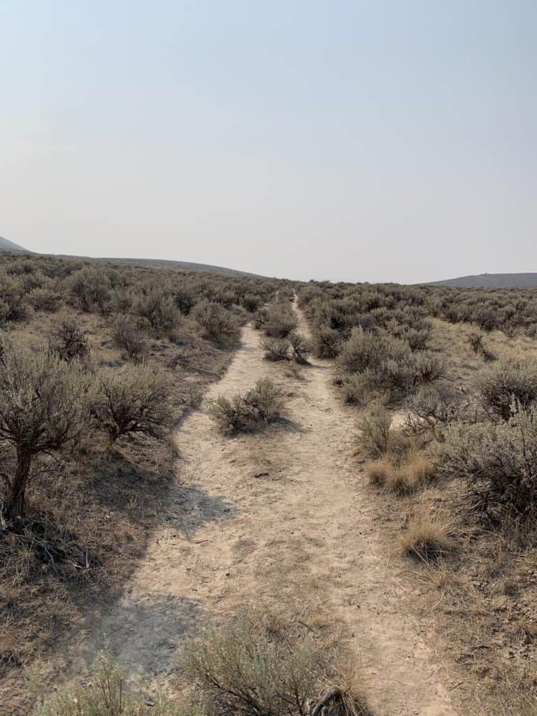 Oregon Trail ruts in the Baker City area.