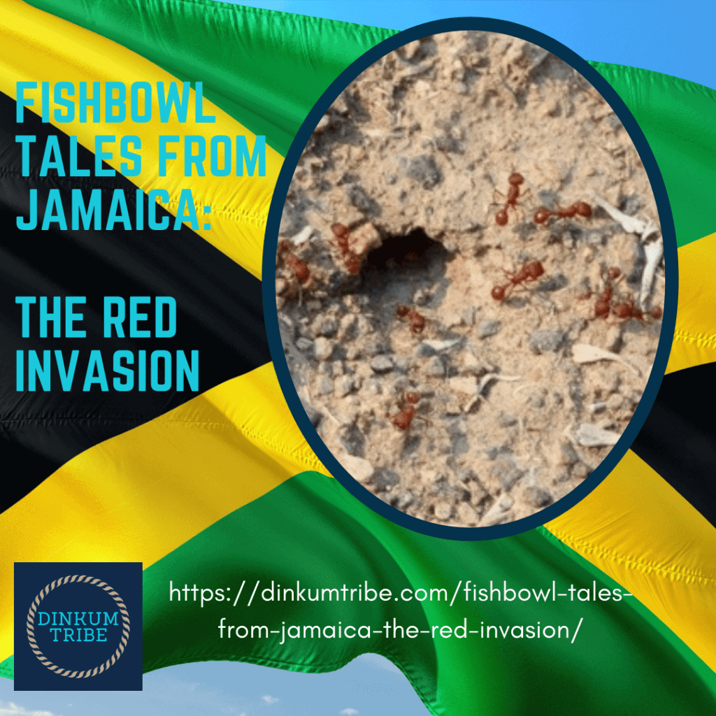 Jamaican flag with circular picture of ants over it
