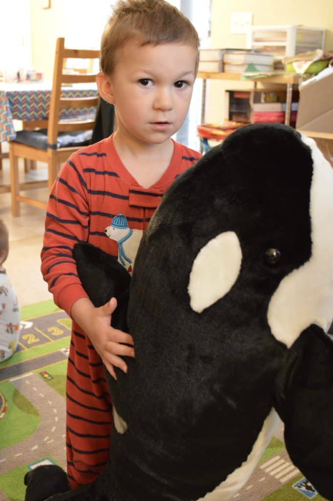 boy with stuffed orca whale