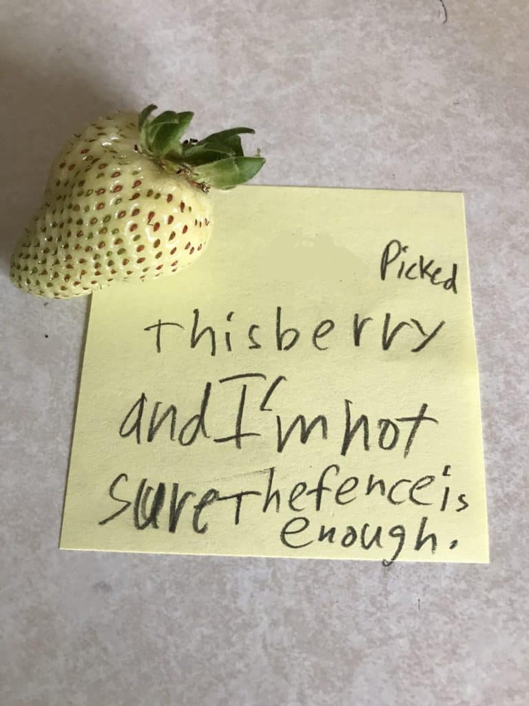 yellow post-it now with white strawberry on top. text says "picked this berry and I'm not sure the fence is enough."