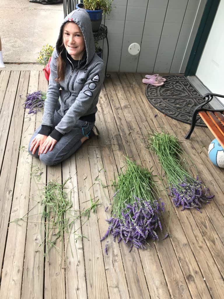 teen girl on wooden deck with bunches of lavender flower stalks