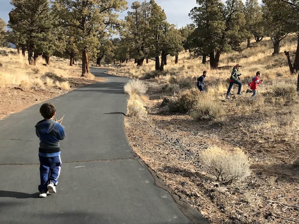 kids walking through desert scrub on path. Taking a short walk can help me not to feel as overwhelmed.
