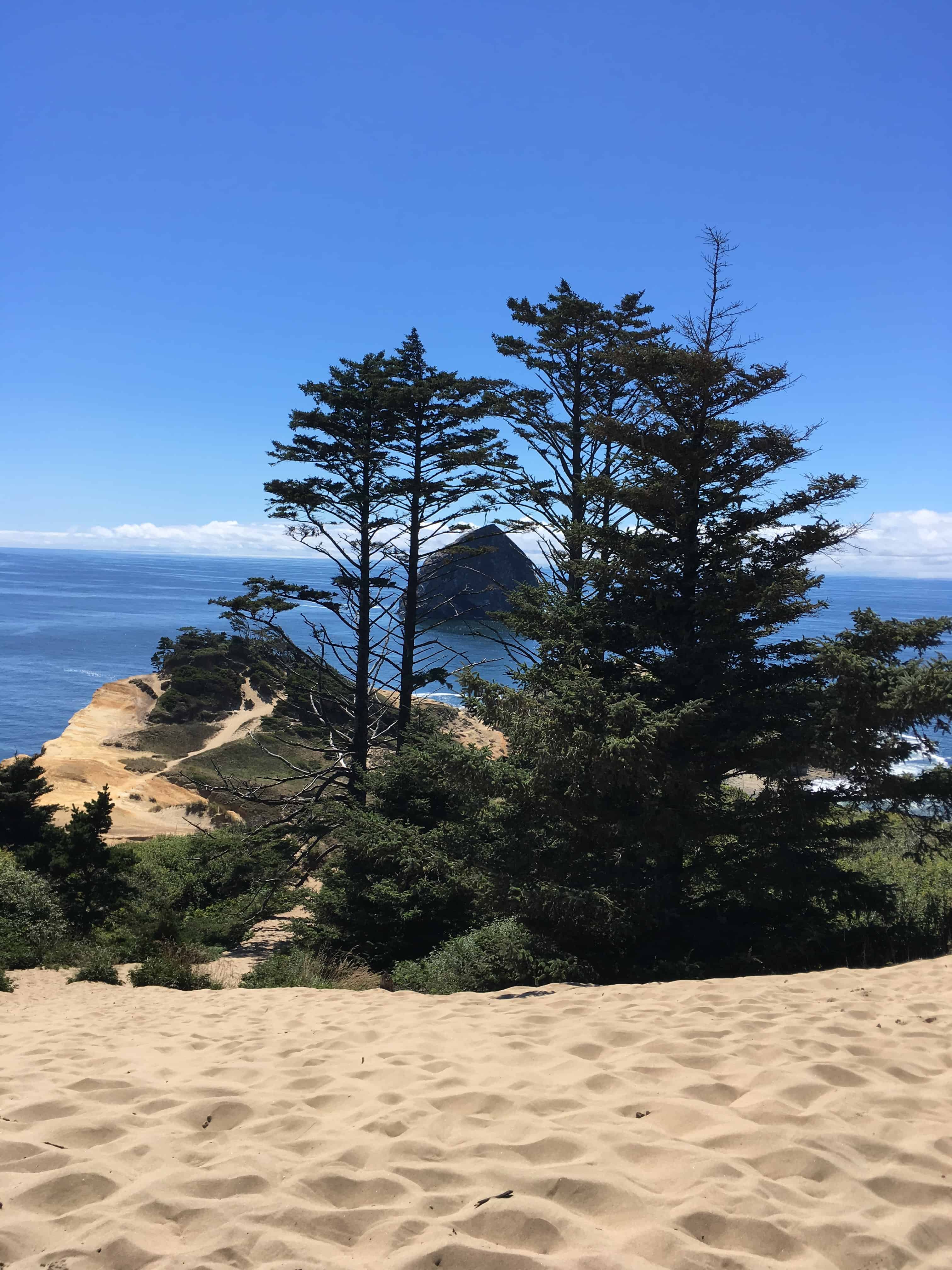 View from the top of the Cape Kiwanda sand dune in Pacific City Oregon with kids.