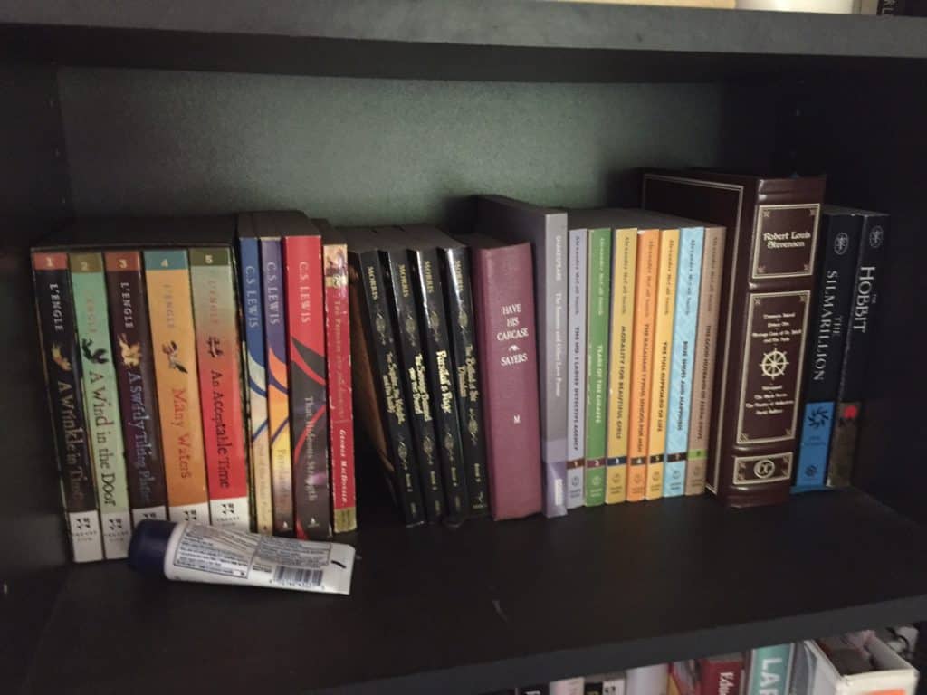 bookshelf with fiction books