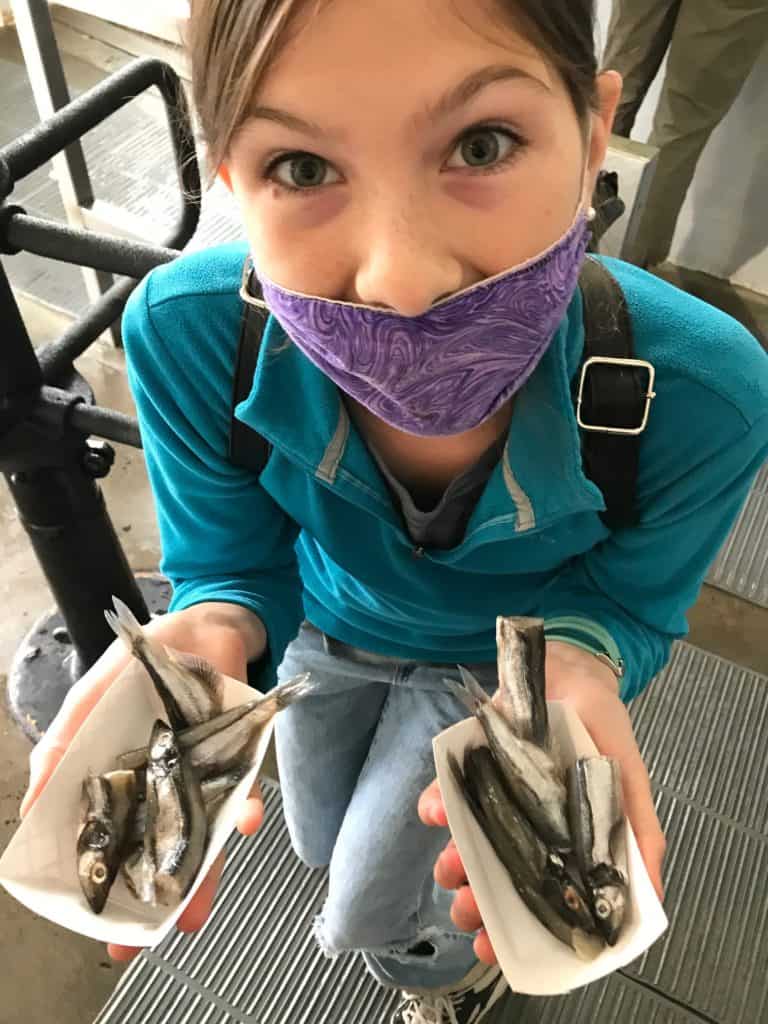 Girl with face mask and holding trays of sardines. One of the highlight of the Seaside Oregon Aquarium is feeding the seals.