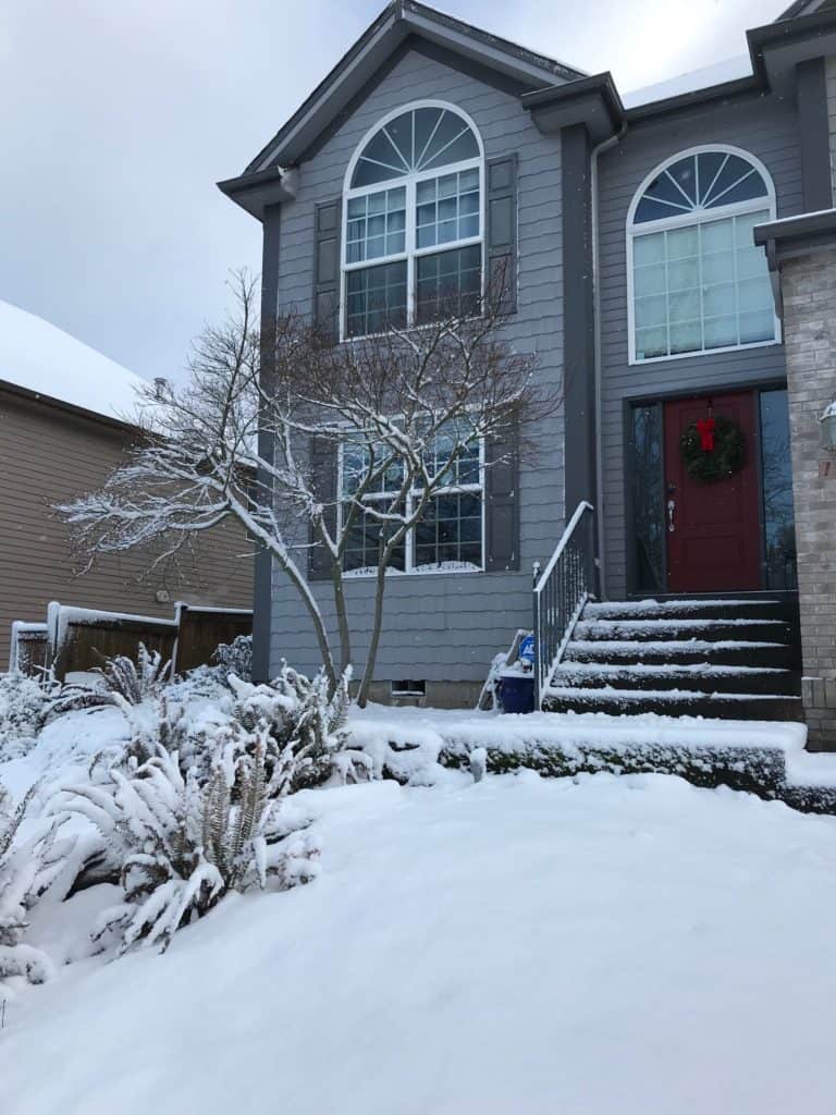 Snow covered house and front garden