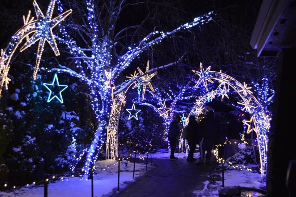 millions of Christmas lights on display at the Silverton Christmas Market.