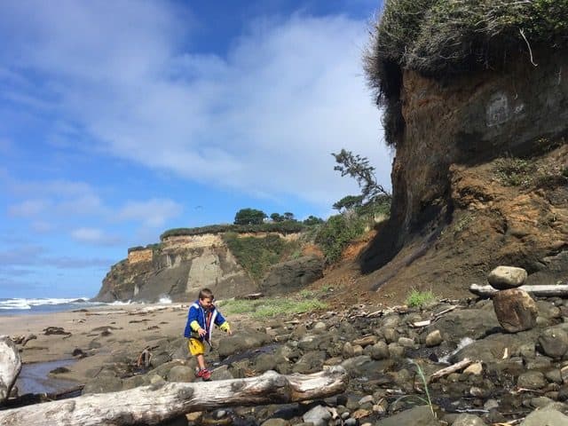 A young child scampers among driftwood, under a beautiful, forested bluff. Oregon's beaches are incredible.