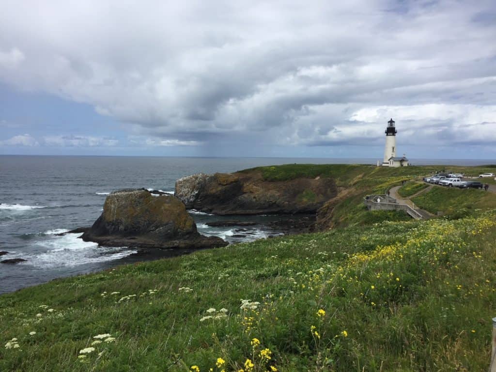 Yaquina Head Lighthouse stands tall amid the wildflowers of Yaquina Head Outstanding Natural Area.