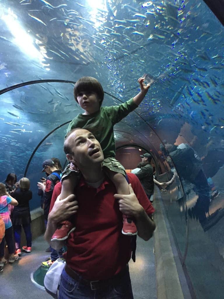 Shark tunnel at the Newport Aquarium. oregon coast with kids