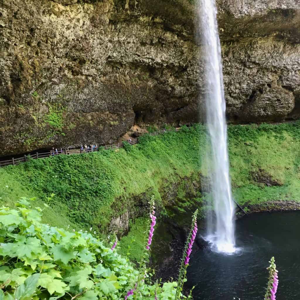 South Falls at Silver Falls State Park.