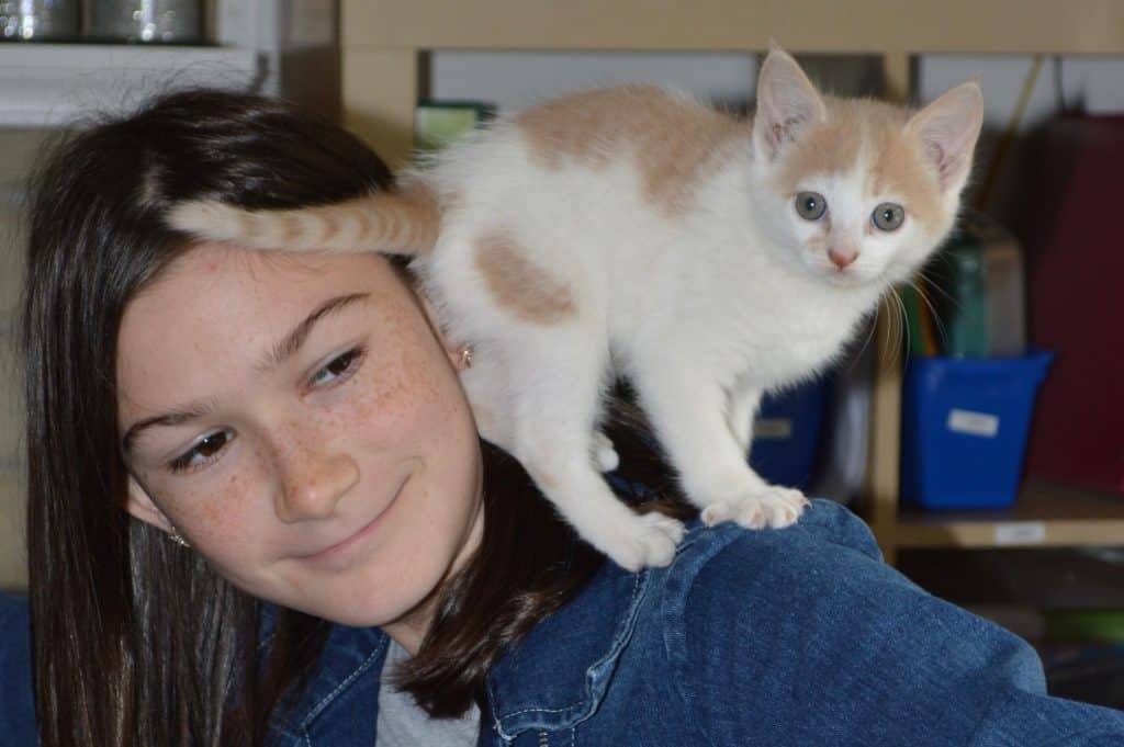 Girl with a kitten on shoulder. 