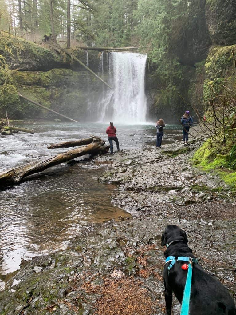 A family enjoys time together with their dog at Upper North Falls in Silver Falls State Park.