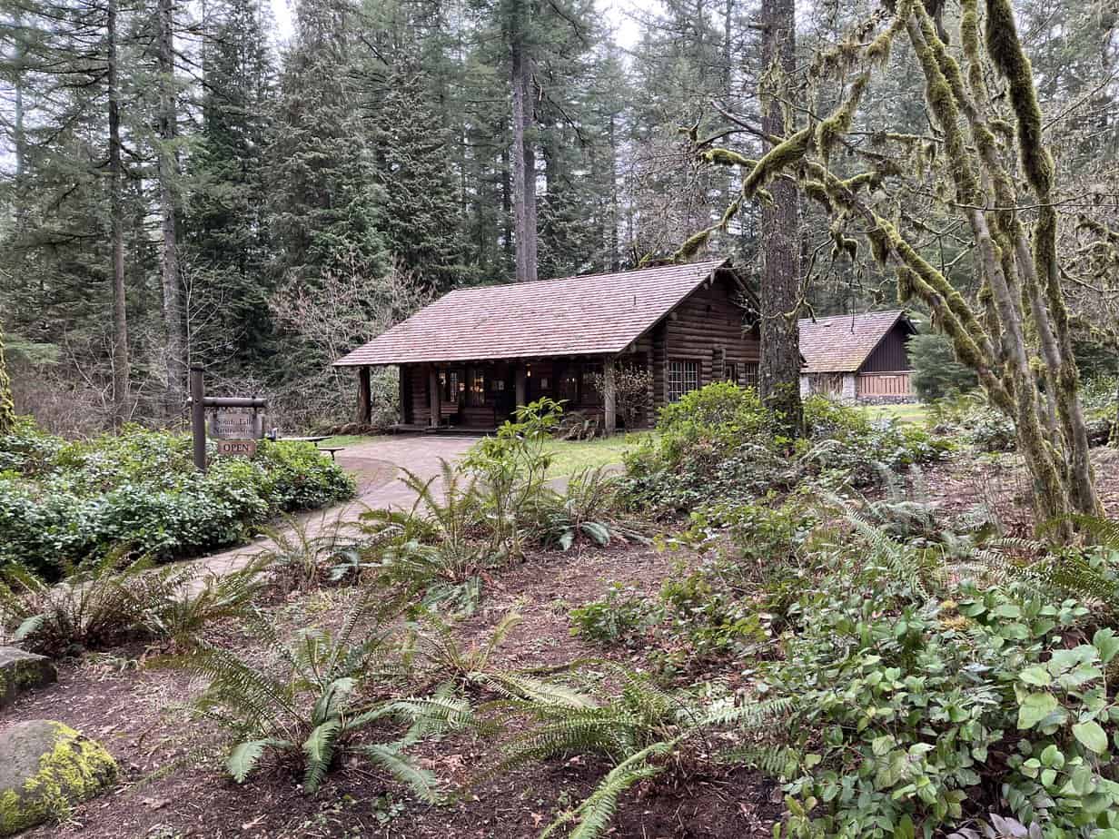 The South Falls Nature Store stands at the South Falls Day-use Area, surrounded by trees and ferns.
The South Falls Nature Shop is a great place to find treasures at Silver Falls State Park.