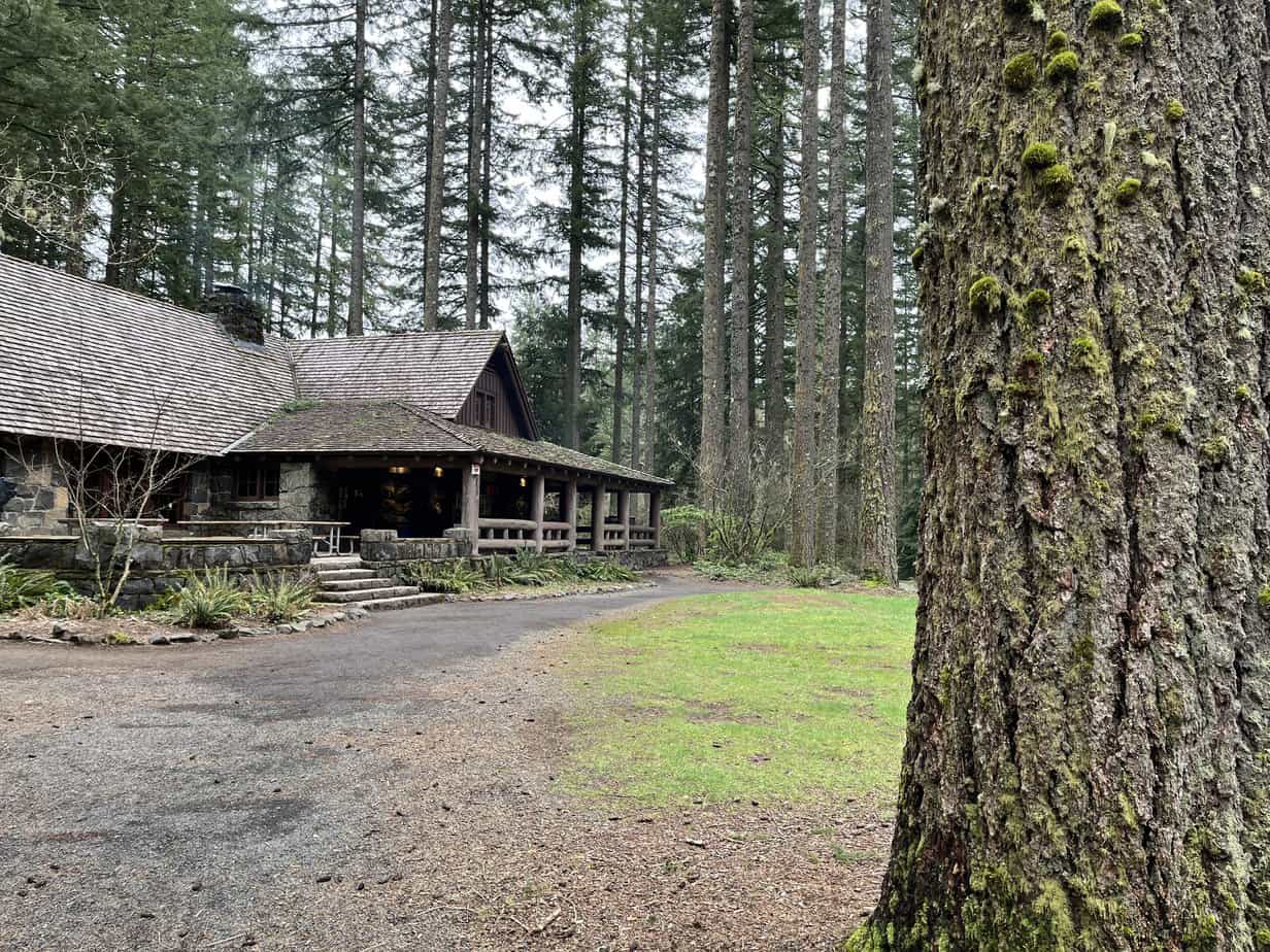 The historic South Falls Lodge stands amid a grove of Pine trees and ferns.