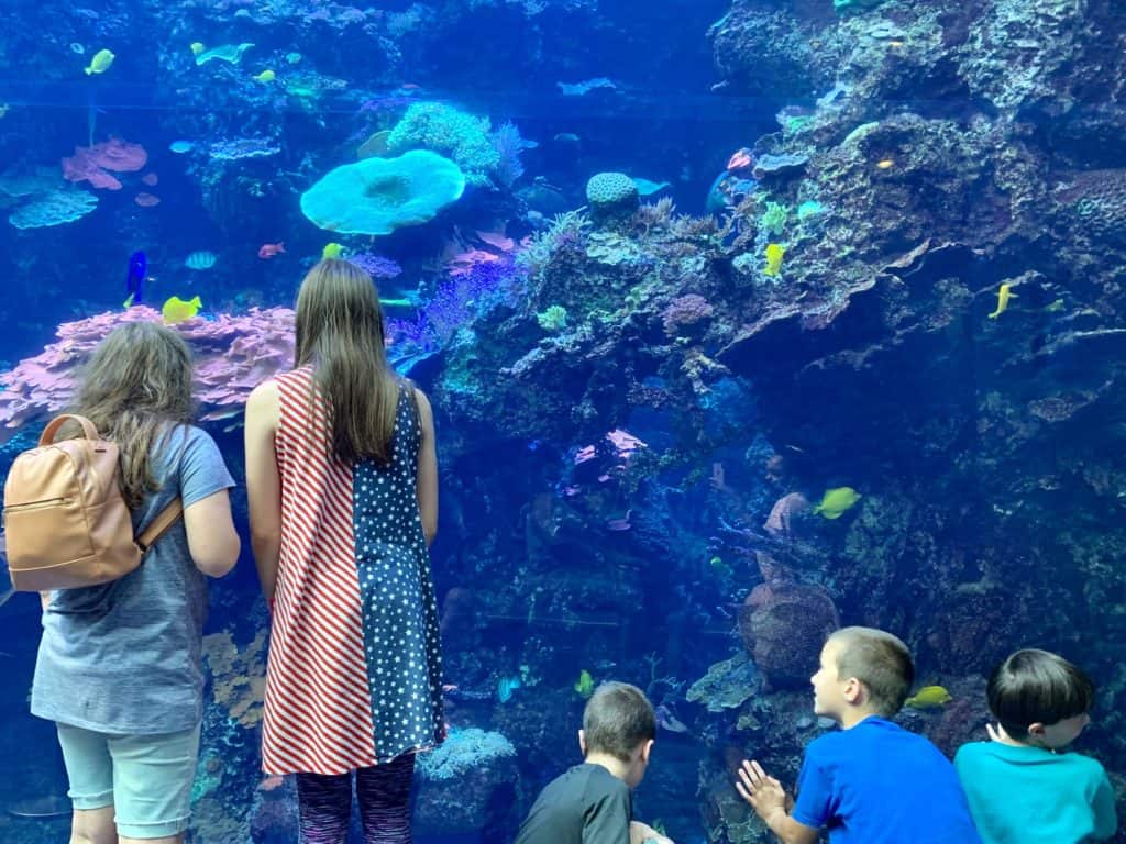 Coral reef tank with kids in front watching fish.