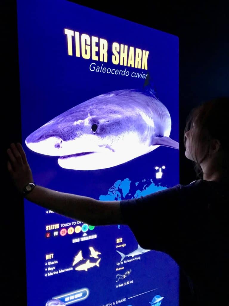 Backlit shark information sign.