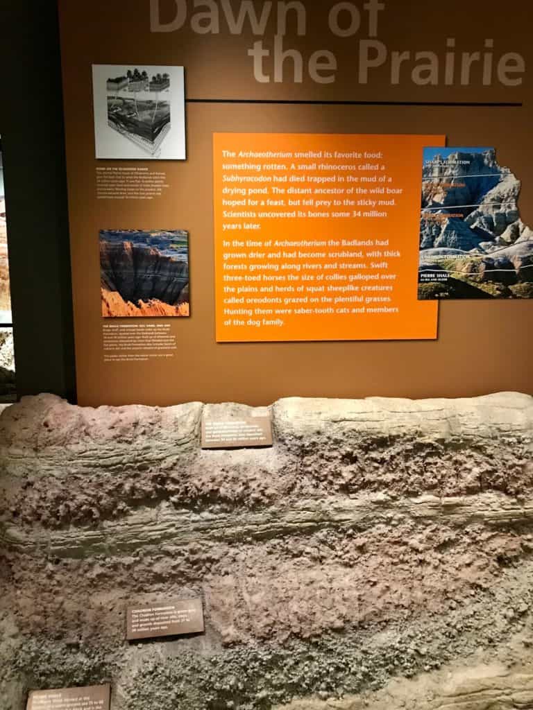 Paleosoils of Badlands NP on display at the Ben Reifel Visitor Center.