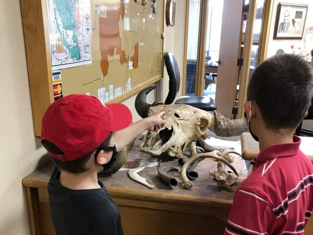 Boys examining animal bones and horns at the fossil lab. A stop at the Ben Reifel fossil lab is totally worth it while driving through Badlands National Park.