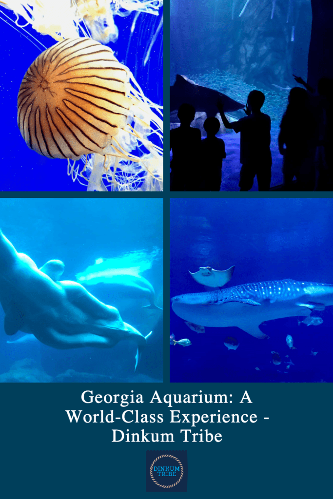 Collage of pinnable photos from the Georgia Aquarium.
