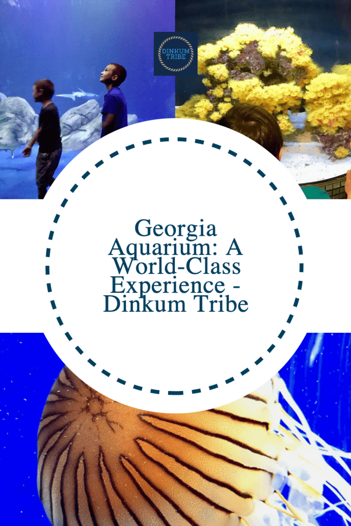 Georgia aquarium collage