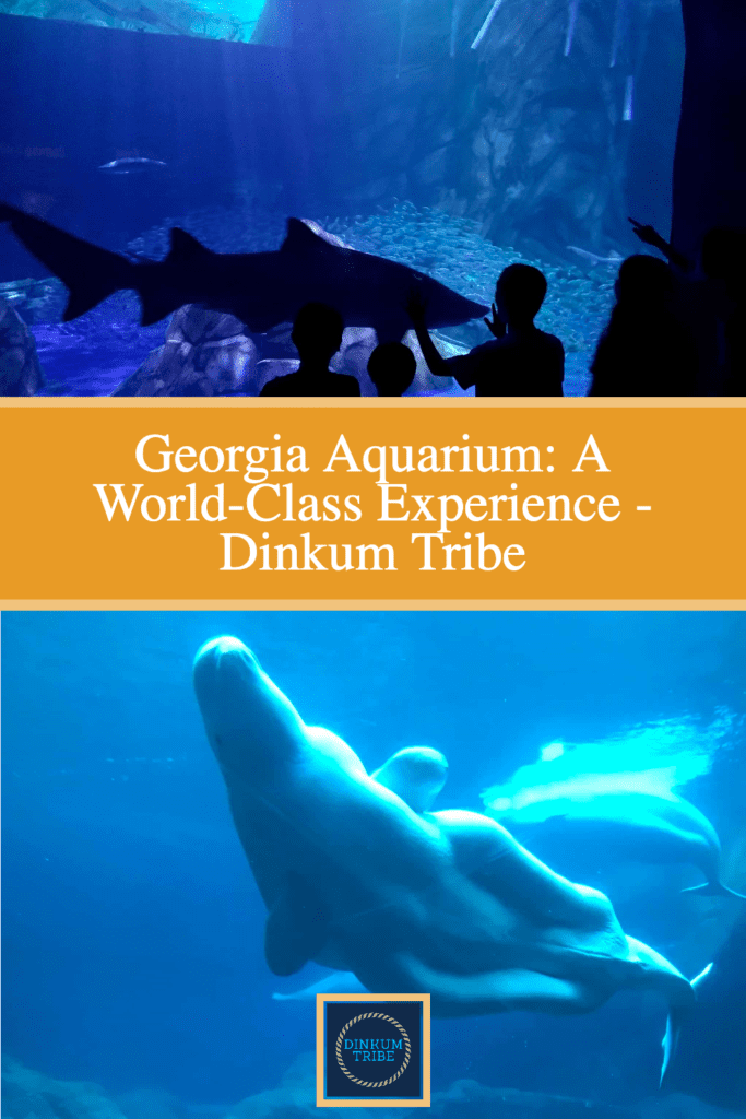 Collage of photos from the Georgia Aquarium.