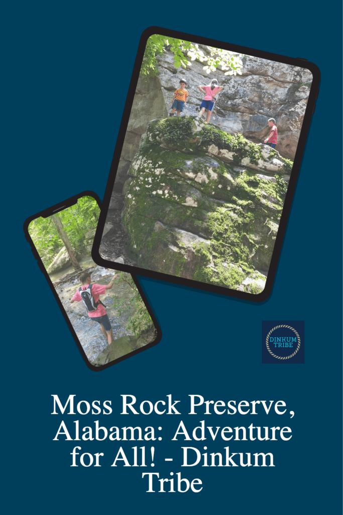 Collage of photos from Moss Rock