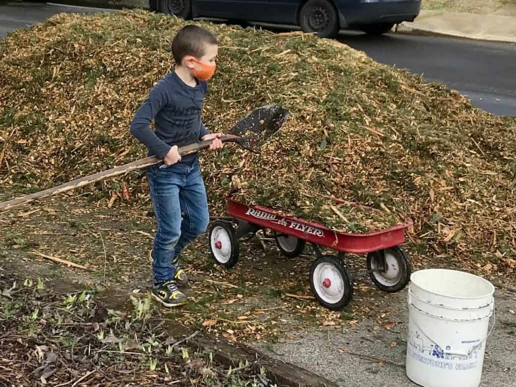 Boy shoveling bark. Chores can be difficult for a person with executive dysfunction.