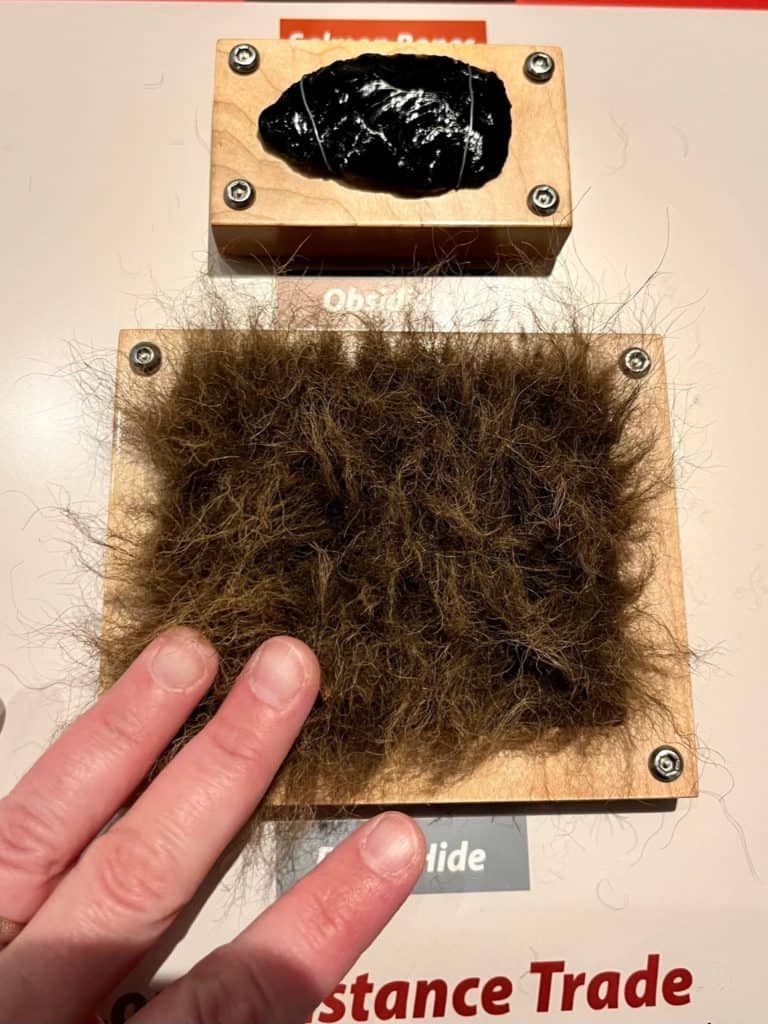 Fur and obsidian samples are part of the hands-on activities at the Natural history museum in Eugene.