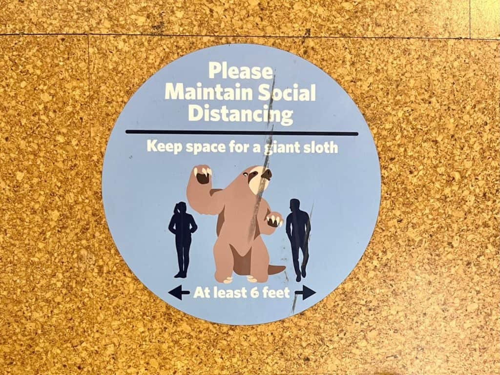 Social distancing reminder sticker on the floor shows a giant sloth and reminds patrons to stay at least one sloth apart (6 feet).