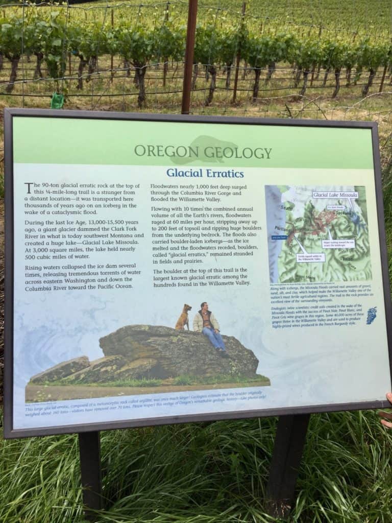 Sign describing the glacial erratic at Erratic Rock State Natural Site. Unusual things to do in McMinnville with kids.
