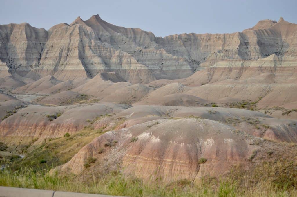 Badlands National Park animals can be seen throughout the park.