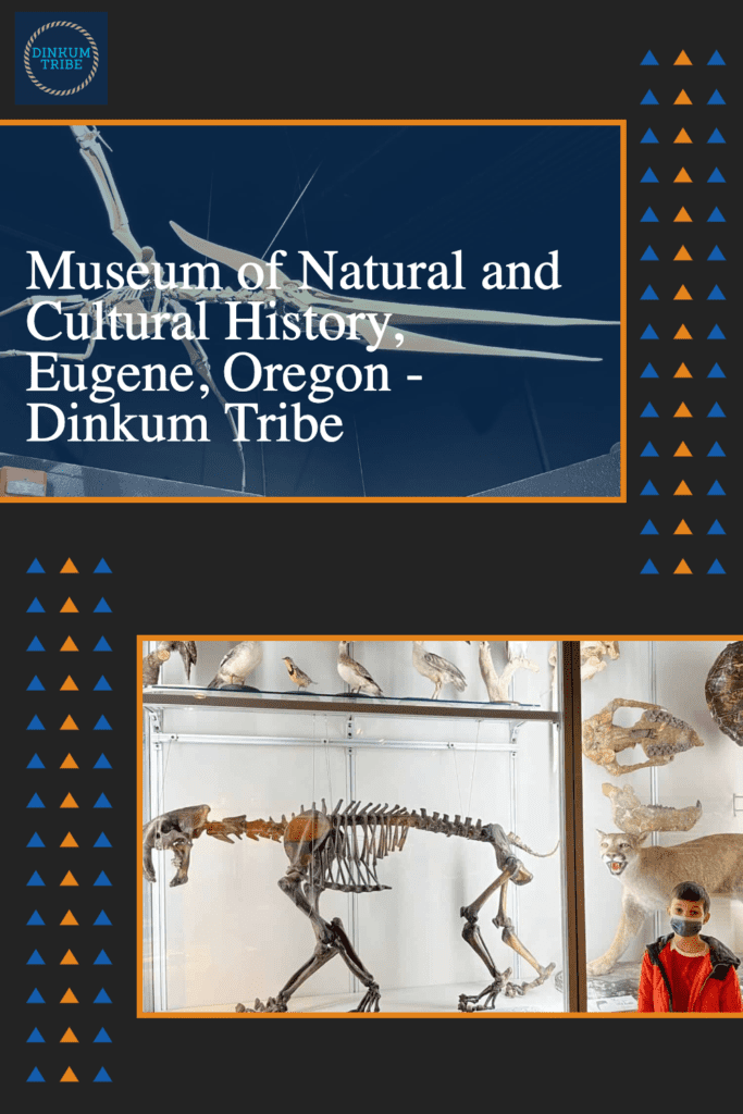 Collage of images from the Museum of Natural and Cultural History in Eugene