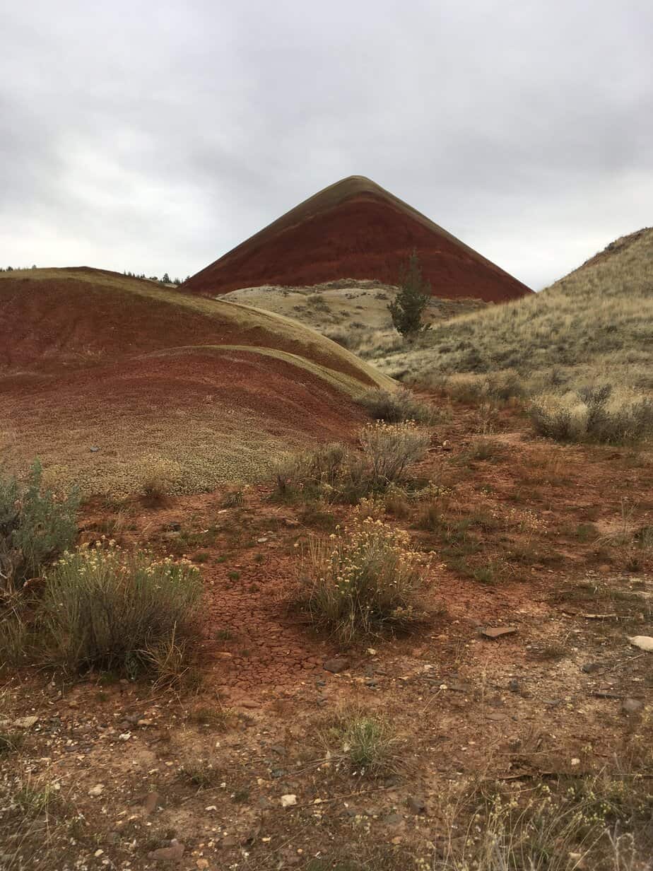 Crimson soils that make up the Painted Hills National Park in Oregon.