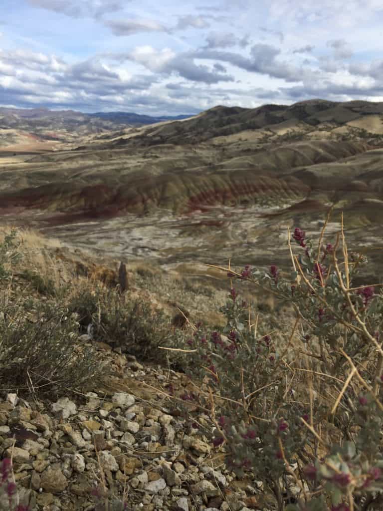 Painted Hills National Park has lots of great family-friendly hikes.