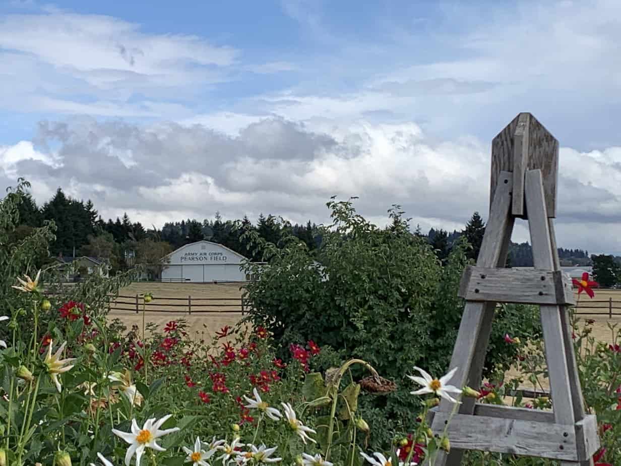 Fort Vancouver garden looking toward the PearSon Airstrip. Read on for more Oregon National Parks.