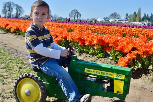 Boy on tractor in field of tulips. Who to talk to about ADHD.