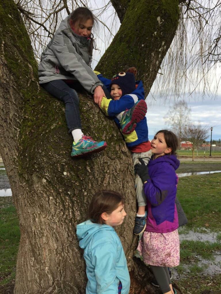 Kids trying to help a brother get out of a tree. ADHD impulsivity can lead to funny or sometimes dangerous situations like this.