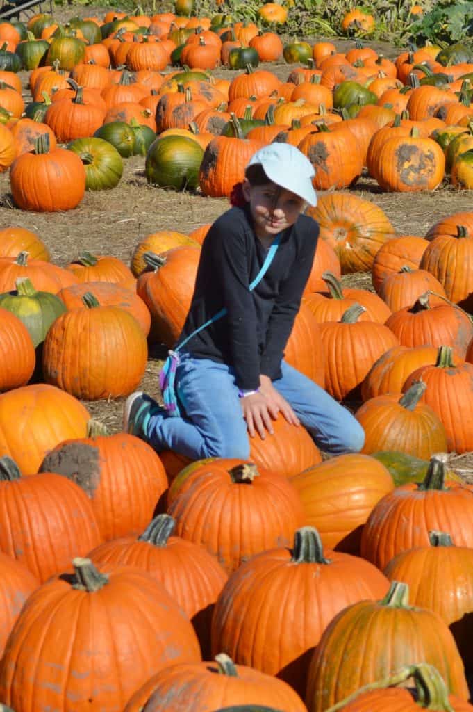 girl in pumpkin field.