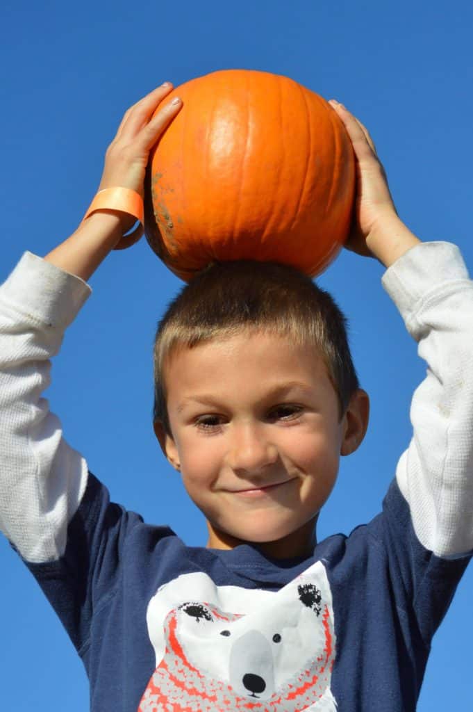 boy with pumpkin on head visiting a Pumpkin patch in Salem Oregon.