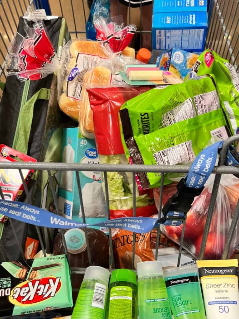 grocery cart with supplies for camping.