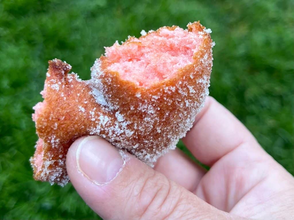 A broken fresh raspberry donut. Checking out a pumpkin patch in Salem, Oregon.