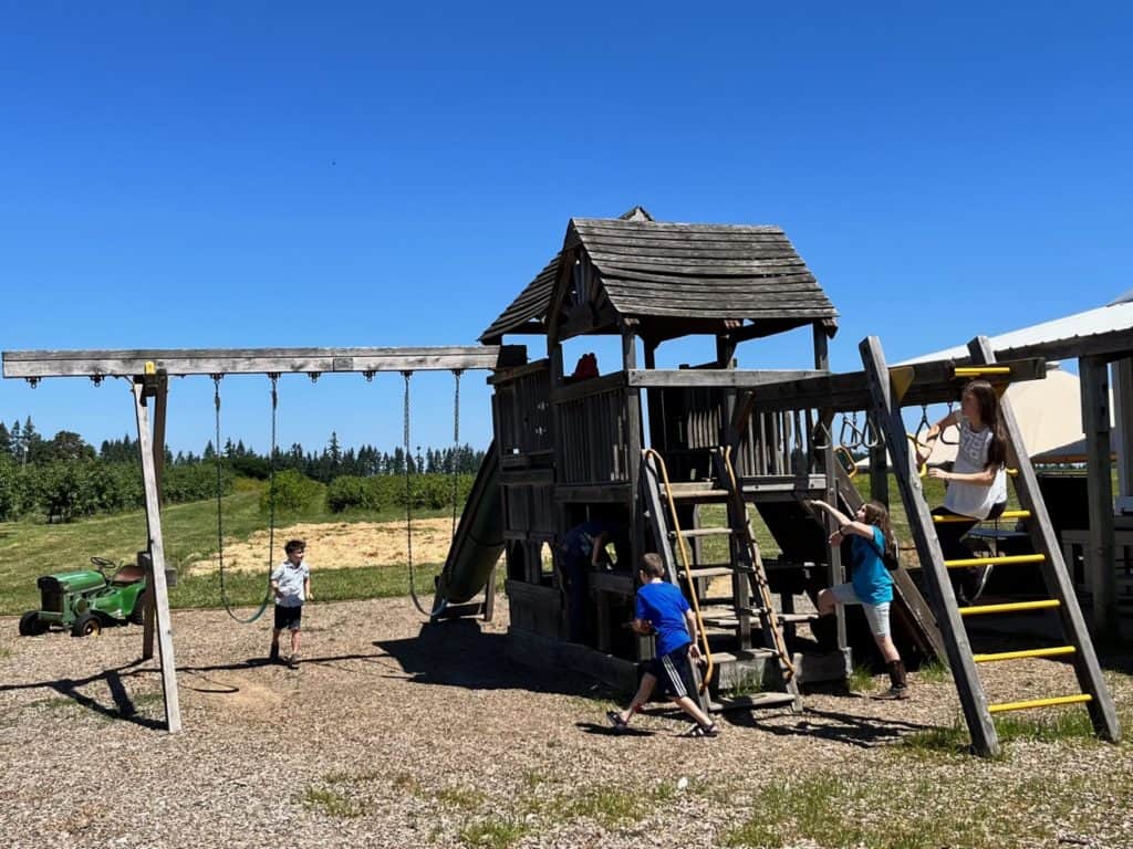 Play structure with U-Pick orchard in background at Fordyce Farm.